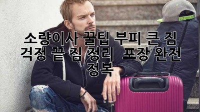 소량이사 꿀팁🍯 부피 큰 짐📦 걱정 끝! 짐 정리 & 포장 완전 정복💪
